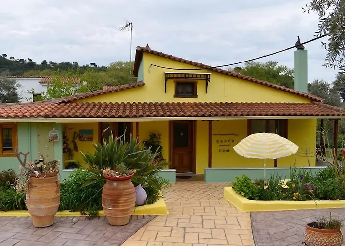 Zina\'S House