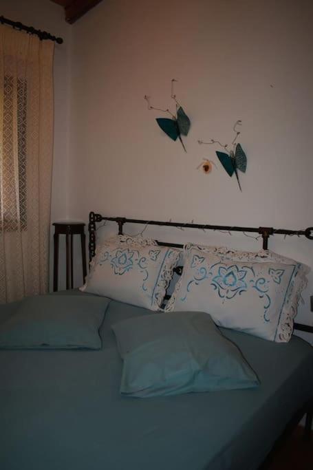 Zina's House Troulos