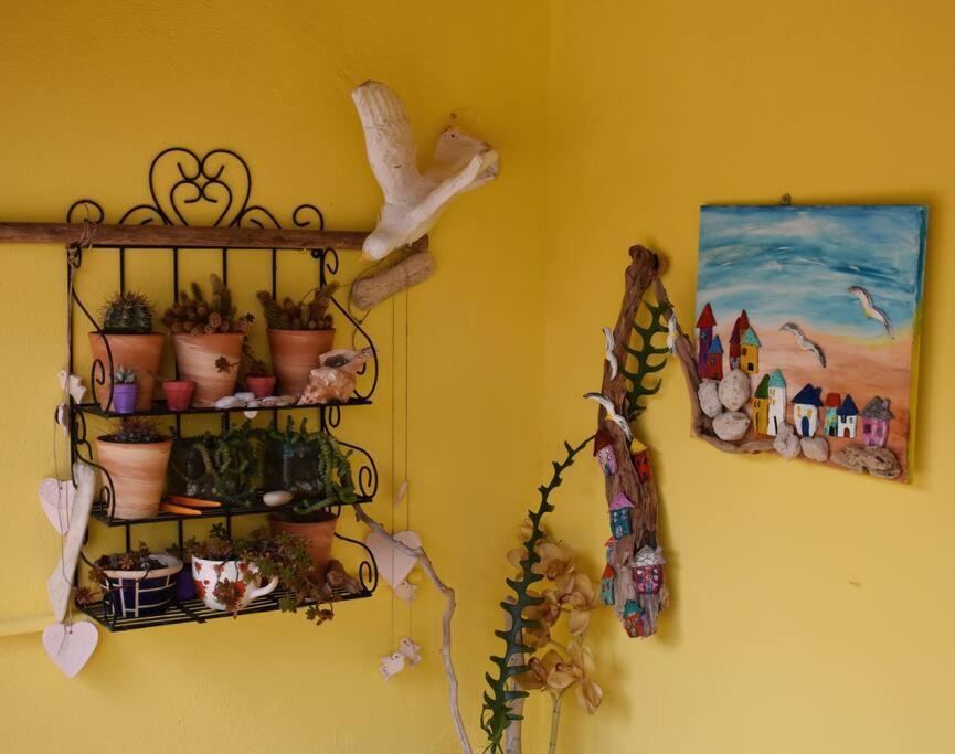Zina's House * Troulos