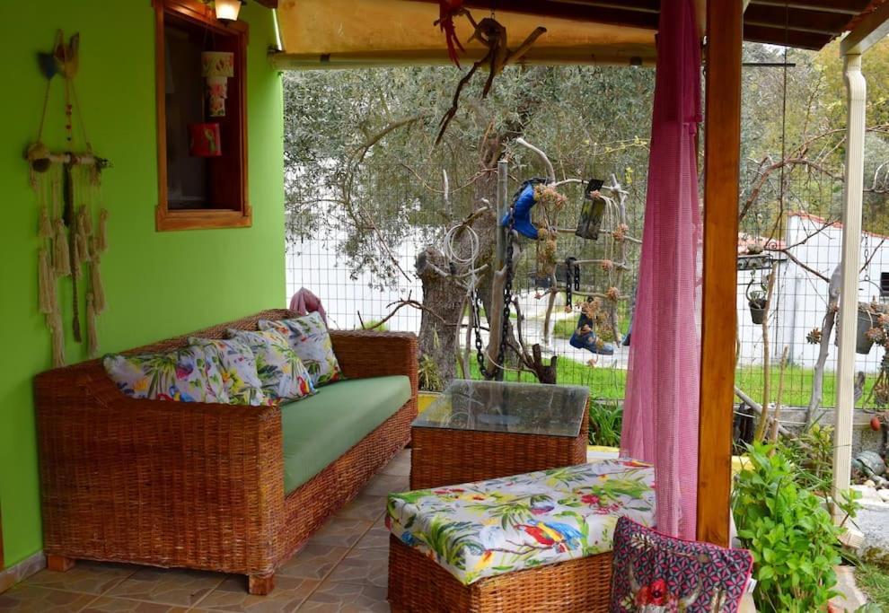 Zina's House