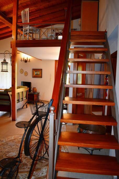 Zina's House Holiday home Troulos