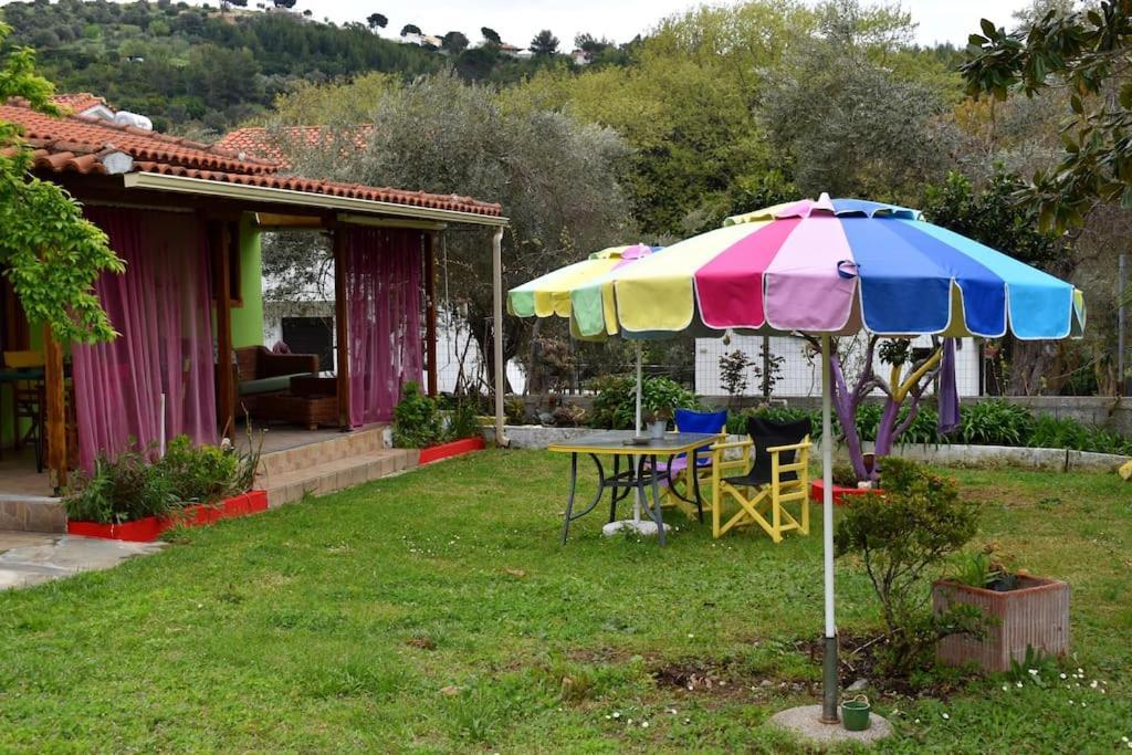 Zina's House Troulos