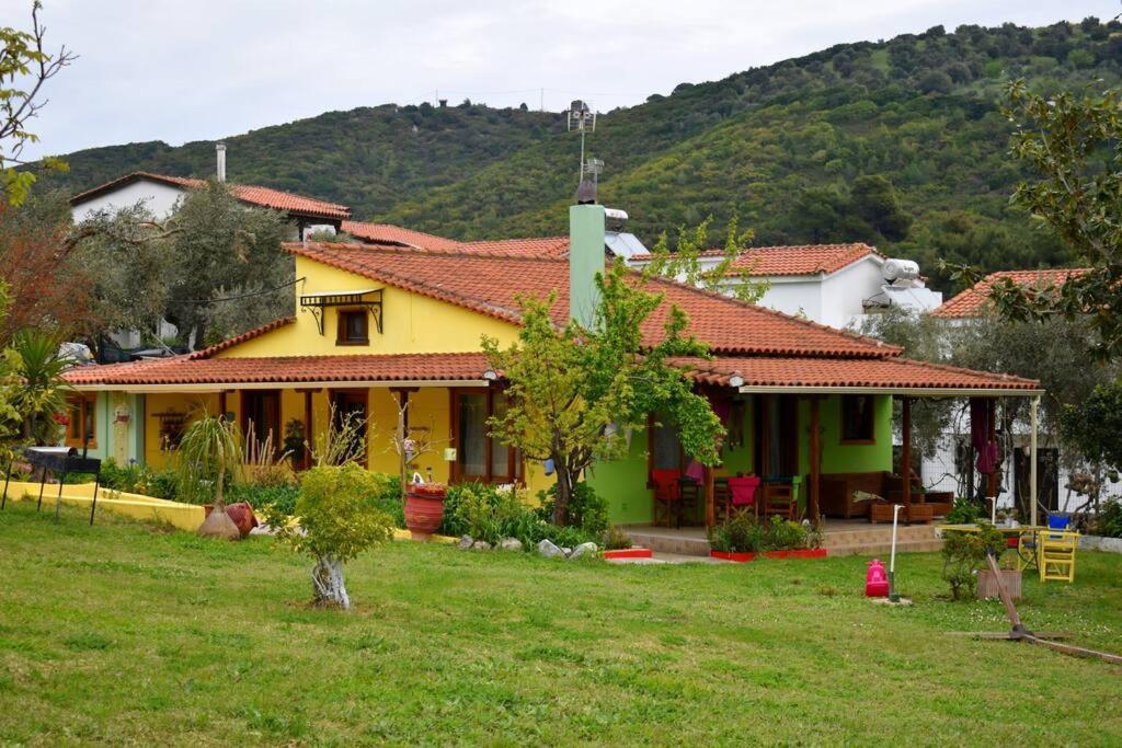 Zina's House *