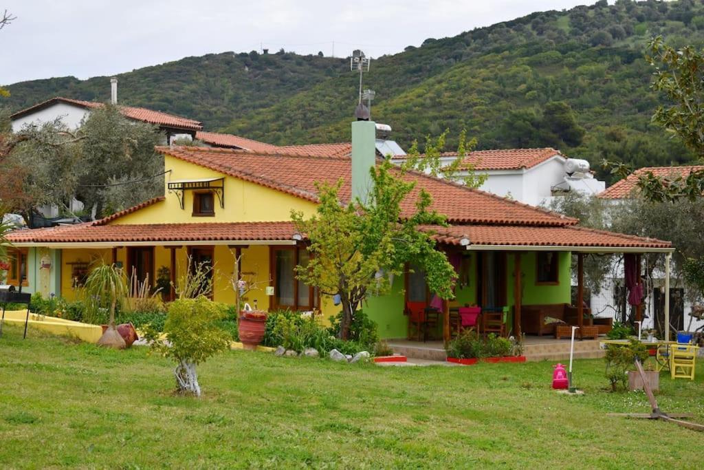 Zina's House Troulos
